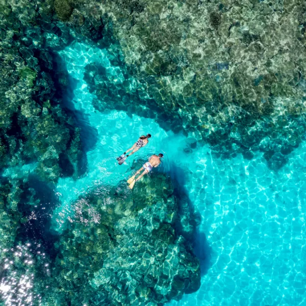 Islands, Wildlife & Wonder - Natural Queensland