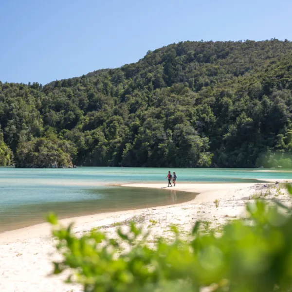 Best of New Zealand