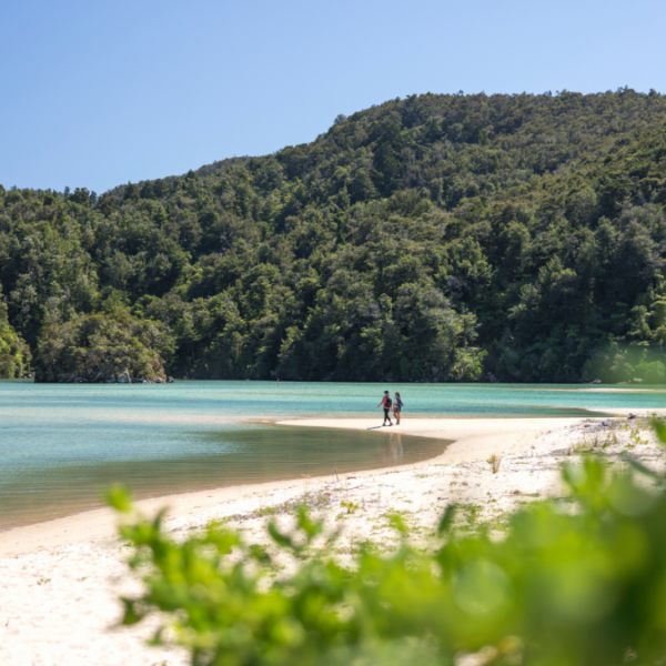 Best of New Zealand