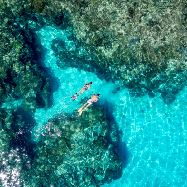 Islands, Wildlife & Wonder - Natural Queensland