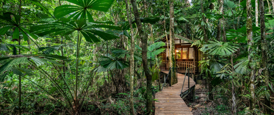Daintree Wilderness Lodge